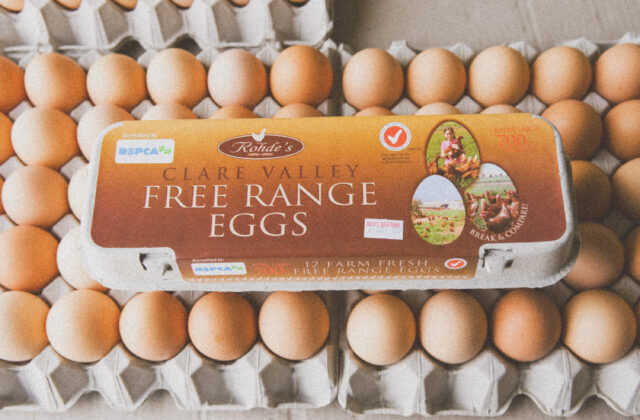 Graphic displays original Rohde Egg Co egg carton