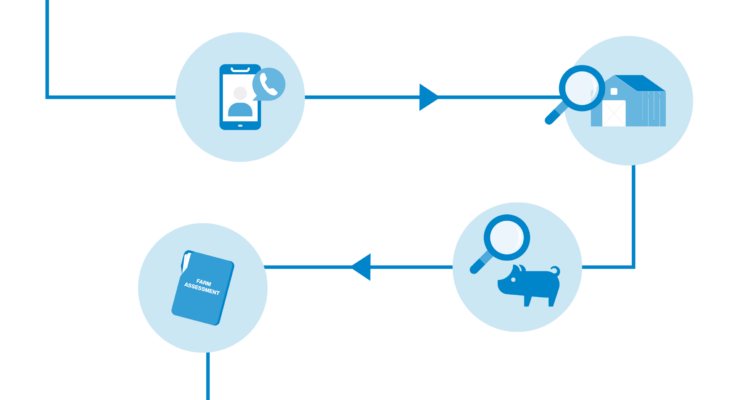 Graphic showcases the process for RSPCA Certified farm assessments